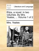 Eliza, a Novel