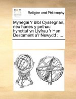 Mynegai 'r Bibl Cyssegrlan, Neu Hanes y Pethau Hynottaf Yn Llyfrau 'r Hen Destament A'r Newydd; ...