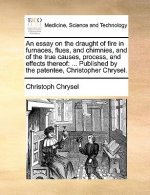 Essay on the Draught of Fire in Furnaces, Flues, and Chimnies, and of the True Causes, Process, and Effects Thereof
