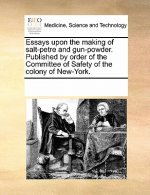 Essays Upon the Making of Salt-Petre and Gun-Powder. Published by Order of the Committee of Safety of the Colony of New-York.
