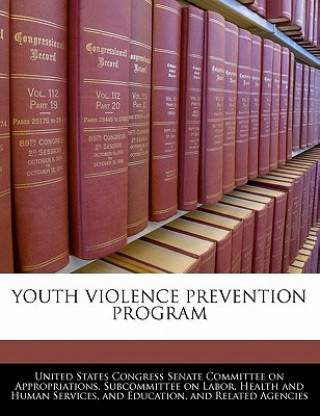 YOUTH VIOLENCE PREVENTION PROGRAM