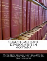 Coalbed Methane Development in Montana