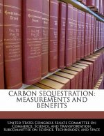 CARBON SEQUESTRATION: MEASUREMENTS AND BENEFITS