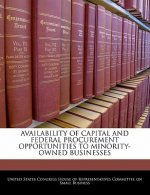 AVAILABILITY OF CAPITAL AND FEDERAL PROCUREMENT OPPORTUNITIES TO MINORITY-OWNED BUSINESSES