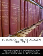 FUTURE OF THE HYDROGEN FUEL CELL