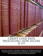 CREDIT CARD DATA PROCESSING: HOW SECURE IS IT?