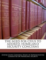 THE NEED FOR CFIUS TO ADDRESS HOMELAND SECURITY CONCERNS