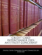 CREDIT CARD INTERCHANGE FEES: ANTITRUST CONCERNS?