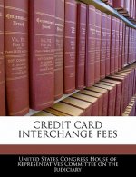 CREDIT CARD INTERCHANGE FEES