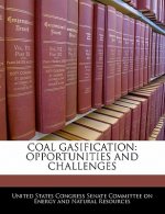 COAL GASIFICATION: OPPORTUNITIES AND CHALLENGES