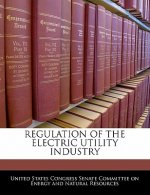 REGULATION OF THE ELECTRIC UTILITY INDUSTRY