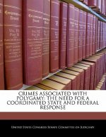 CRIMES ASSOCIATED WITH POLYGAMY: THE NEED FOR A COORDINATED STATE AND FEDERAL RESPONSE