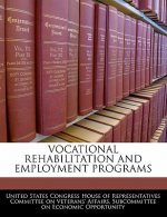 VOCATIONAL REHABILITATION AND EMPLOYMENT PROGRAMS