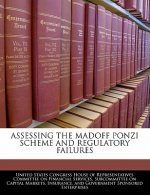 ASSESSING THE MADOFF PONZI SCHEME AND REGULATORY FAILURES