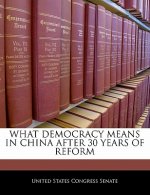 WHAT DEMOCRACY MEANS IN CHINA AFTER 30 YEARS OF REFORM