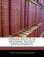HUMAN RIGHTS IN XINJIANG: RECENT DEVELOPMENTS