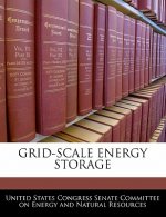 GRID-SCALE ENERGY STORAGE