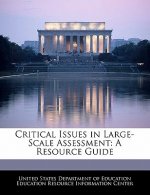 Critical Issues in Large-Scale Assessment: A Resource Guide