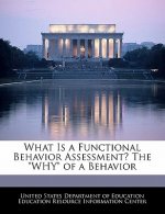 What Is a Functional Behavior Assessment? The 