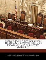 Business-Owned Life Insurance: Preliminary Observations on Uses, Prevalence, and Regulatory Oversight