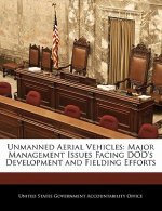 Unmanned Aerial Vehicles: Major Management Issues Facing DOD's Development and Fielding Efforts