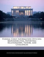 Federal Chief Information Officers: Responsibilities, Reporting Relationships, Tenure, and Challenges