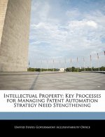 Intellectual Property: Key Processes for Managing Patent Automation Strategy Need Stengthening