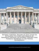 Internal Control: Analysis of Joint Study on Estimating the Costs and Benefits of Rendering Opinions on Internal Control over Financial Reporting in t