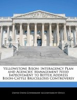 Yellowstone Bison: Interagency Plan and Agencies' Management Need Improvement to Better Address Bison-Cattle Brucellosis Controversy