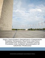 Equal Employment Opportunity Commission: Sharing Promising Practices and Fully Implementing Strategic Human Capital Planning Can Improve Management of