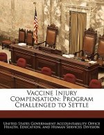 Vaccine Injury Compensation: Program Challenged to Settle
