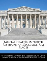 Mental Health: Improper Restraint or Seclusion Use Places