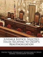 Juvenile Justice: Selected Issues Relating to OJJDP's Reauthorization