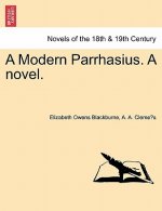 Modern Parrhasius. a Novel.