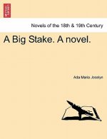 Big Stake. a Novel.