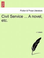 Civil Service ... a Novel, Etc. Vol. II.