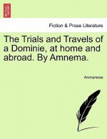 Trials and Travels of a Dominie, at Home and Abroad. by Amnema.