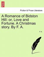 Romance of Bidston Hill