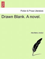Drawn Blank. a Novel.
