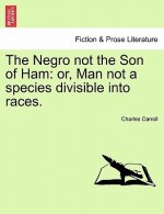 Negro Not the Son of Ham