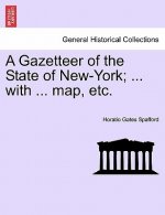 Gazetteer of the State of New-York; ... with ... Map, Etc.