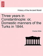 Three Years in Constantinople