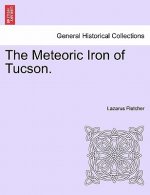Meteoric Iron of Tucson.