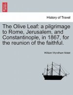 Olive Leaf