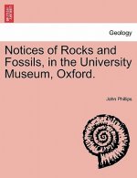 Notices of Rocks and Fossils, in the University Museum, Oxford.