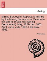 Mining Surveyors' Reports