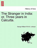 Stranger in India