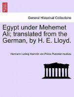 Egypt Under Mehemet Ali; Translated from the German, by H. E. Lloyd. Vol. I.