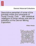 Descriptive Pamphlet of Some of the Principal Mines and Prospects of Ouray County, Colo. ... with Statistical Catalogue of Mines Whose Ores Are on Exh