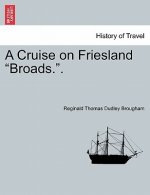 Cruise on Friesland Broads..